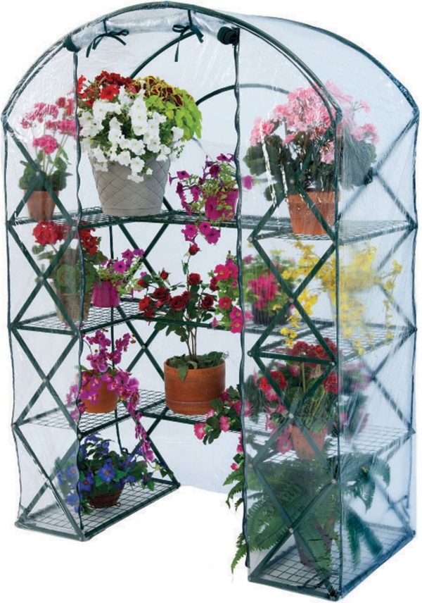 Flowerhouse - Harvesthouse Plus Greenhouse Online Sale