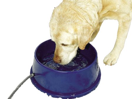 K&h Pet Products Llc - Thermal Bowl For Cheap