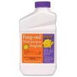 Bonide Products Inc     P - Fung-onil Multi-purpose Fungicide Concentrate For Sale