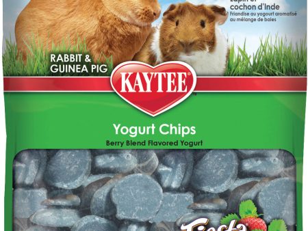 Kaytee Products Inc - Fiesta Yogurt Chips For Sale