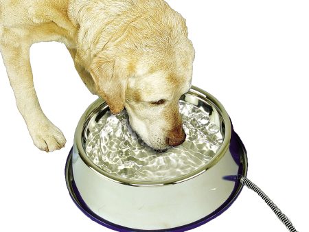 K&h Pet Products Llc - Thermal Bowl Heated Pet Bowl For Sale