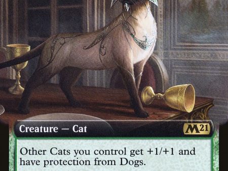 Feline Sovereign (Extended Art) [Core Set 2021] Supply